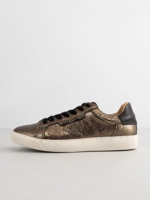 Sneakersy niskie AllSaints w kolorze złota