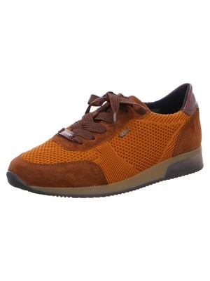 Sneakersy niskie Ara