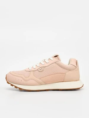 Sneakersy niskie Armani Exchange różowy