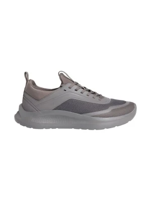 Sneakersy niskie Calvin Klein szary