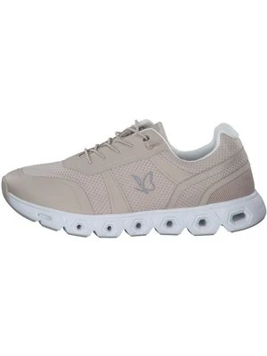 Sneakersy niskie Caprice