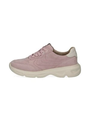 Sneakersy niskie Caprice różowy