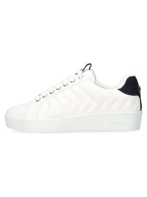 Sneakersy niskie Carvela