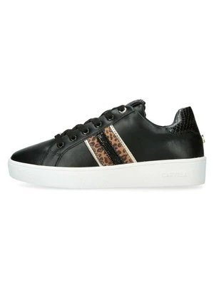 Sneakersy niskie Carvela