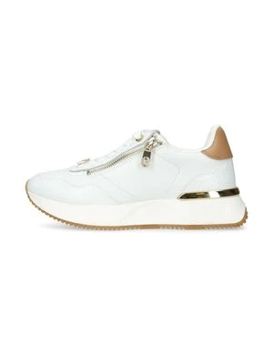 Sneakersy niskie Carvela