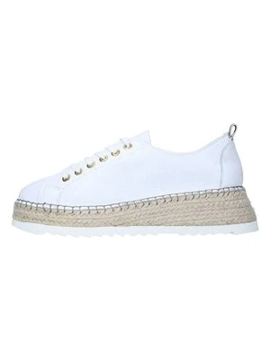 Sneakersy niskie Carvela Comfort
