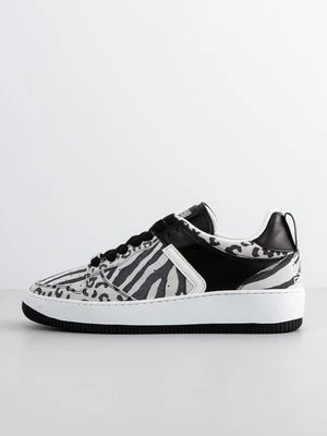 Sneakersy niskie Cavalli Class