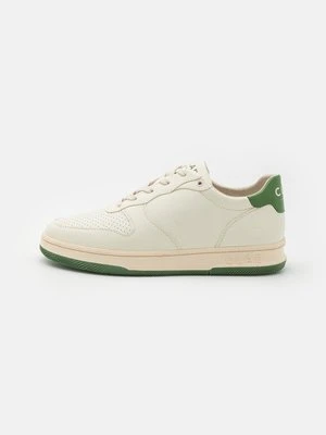 Sneakersy niskie Clae