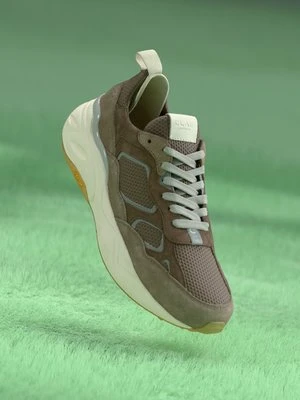 Sneakersy niskie Clae