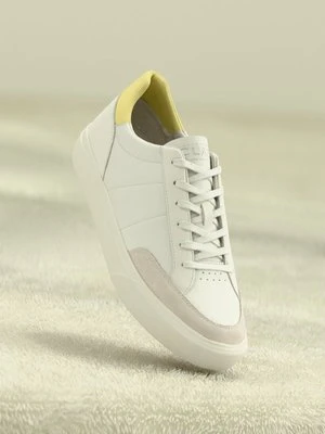 Sneakersy niskie Clae