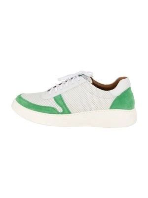 Sneakersy niskie dreimaster