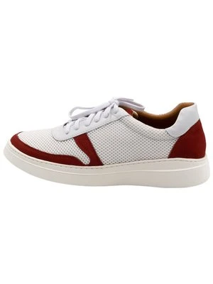 Sneakersy niskie dreimaster