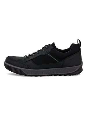 Sneakersy niskie ECCO