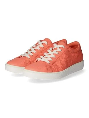 Sneakersy niskie ECCO