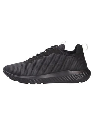 Sneakersy niskie ECCO