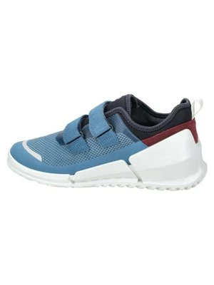 Sneakersy niskie ECCO