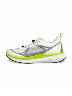 Sneakersy niskie ECCO