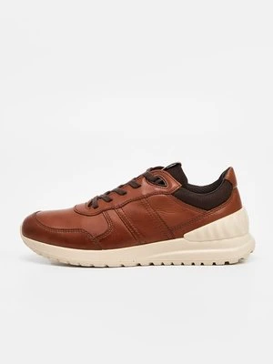 Sneakersy niskie ECCO