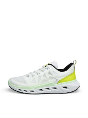 Sneakersy niskie ECCO biały
