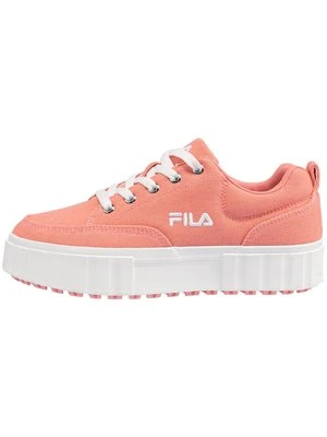 Sneakersy niskie Fila