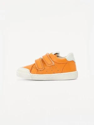 Sneakersy niskie froddo