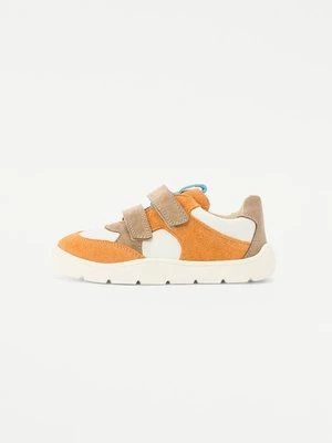 Sneakersy niskie froddo