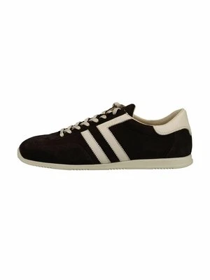 Sneakersy niskie Gant ciemnobrązowy