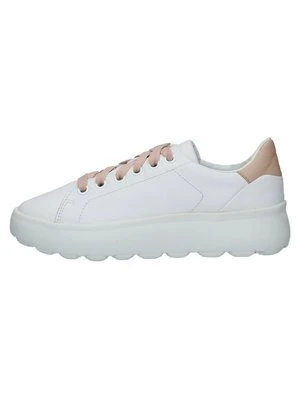 Sneakersy niskie Geox