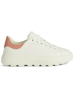 Sneakersy niskie Geox