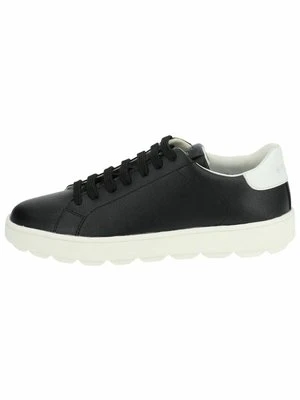 Sneakersy niskie Geox
