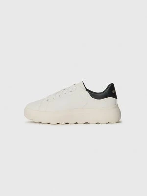 Sneakersy niskie Geox