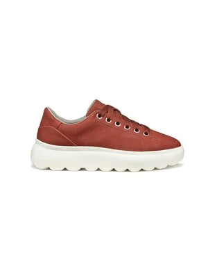 Sneakersy niskie Geox
