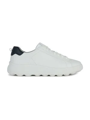 Sneakersy niskie Geox