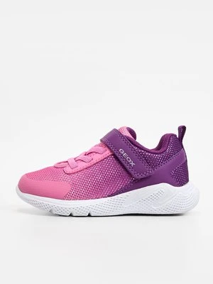 Sneakersy niskie Geox