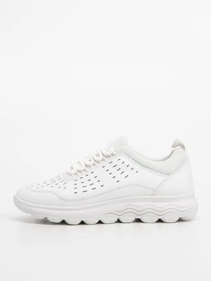 Sneakersy niskie Geox