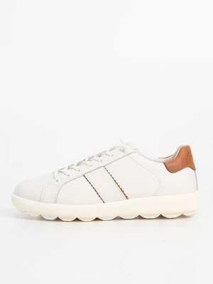 Sneakersy niskie Geox