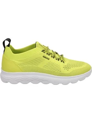 Sneakersy niskie Geox