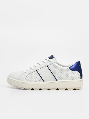 Sneakersy niskie Geox