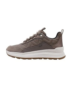 Sneakersy niskie Geox