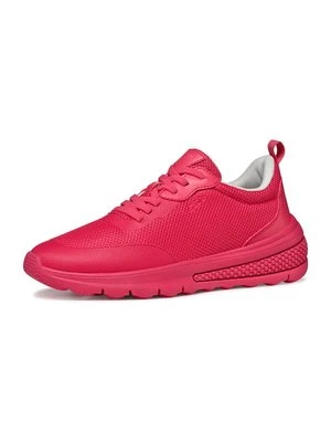 Sneakersy niskie Geox