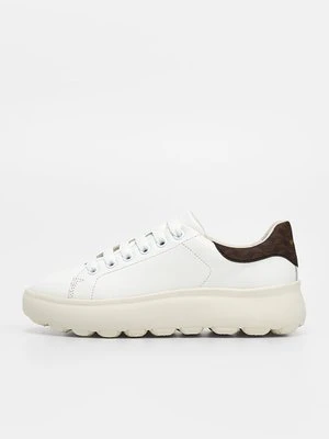 Sneakersy niskie Geox brązowy