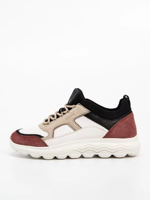Sneakersy niskie Geox
