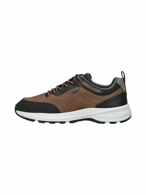 Sneakersy niskie Geox brązowy