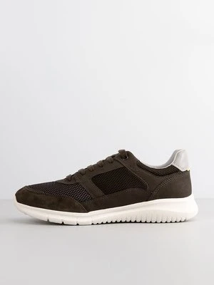 Sneakersy niskie Geox oliwkowy