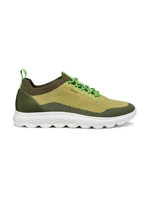 Sneakersy niskie Geox jasnozielony