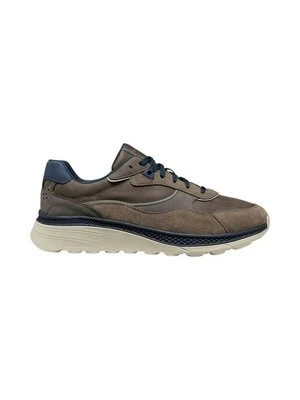 Sneakersy niskie Geox ciemnoszary