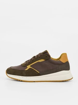 Sneakersy niskie Geox szary