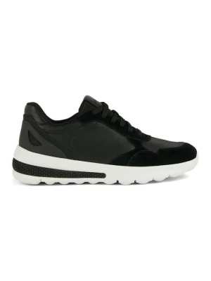 Sneakersy niskie Geox czarny