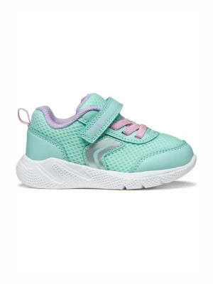 Sneakersy niskie Geox zielony melanż
