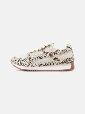 Sneakersy niskie Gioseppo